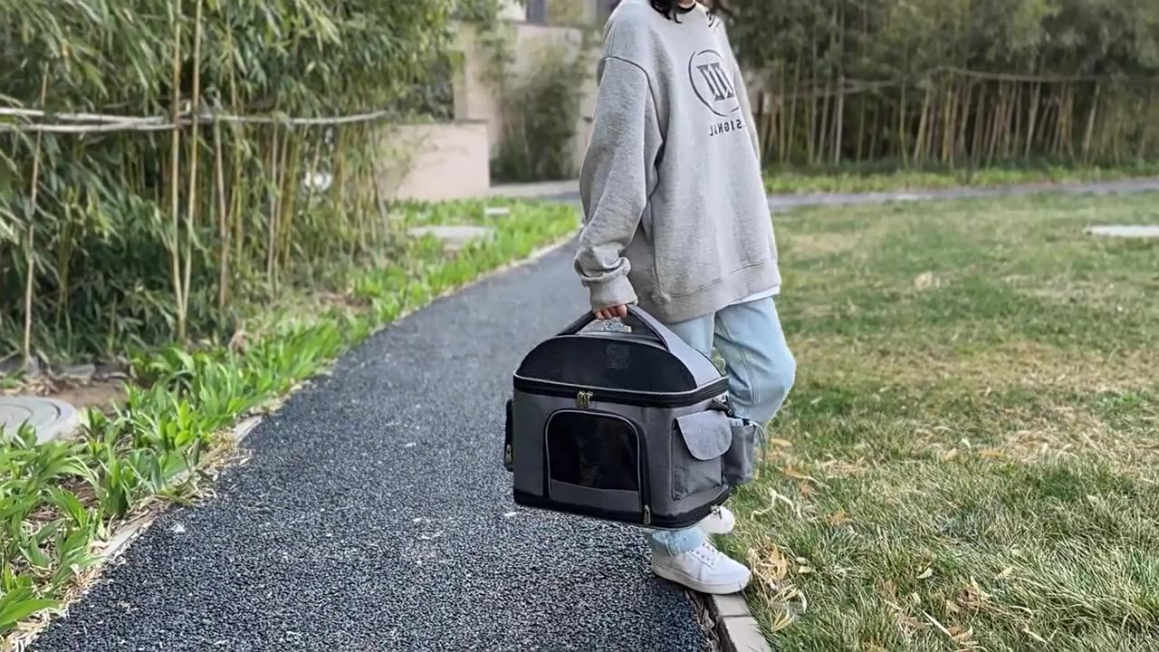 散歩 軽量