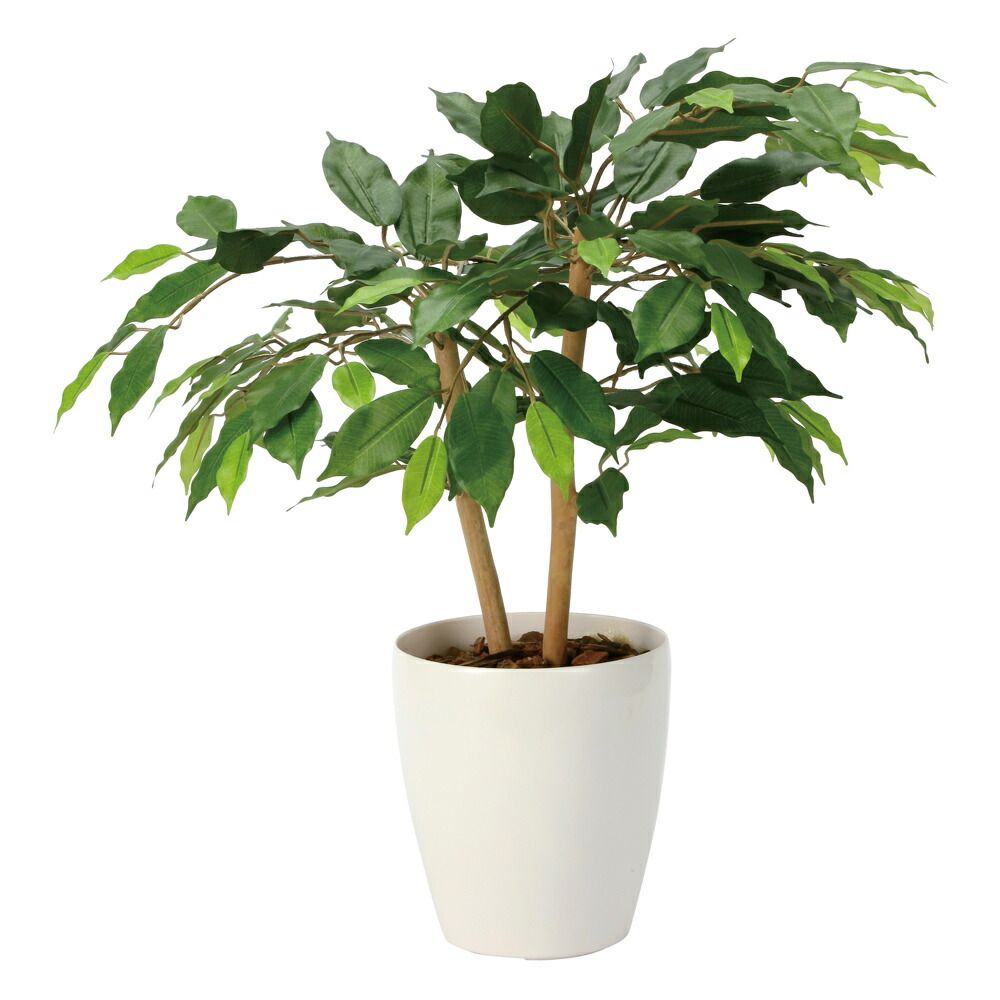 レジン, フラワーテーブル🌸, 最後の仕上げを終えて, アイアンの脚を選んで, サイドテーブルに, 高さによって色々な演出を‥🩷, 気になる方,  ご連絡下さいませ, #レジン , #レジンテーブル, #レジンフラワーテーブル, #flowers #flowerstagram ,  #flowersofinstagram , #garden , #gardener , #artist , ... サイドテーブル　ドライフラワー　レジン