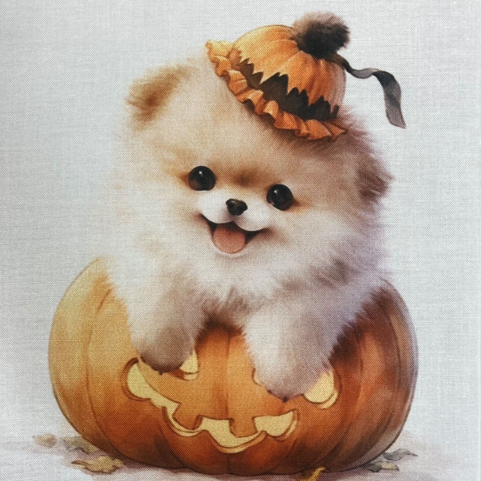 可愛いポメラニアン、柴犬パネル生地　ハンドメイド 可愛いポメラニアンのパネル生地 可愛いポメラニアン、柴犬パネル生地