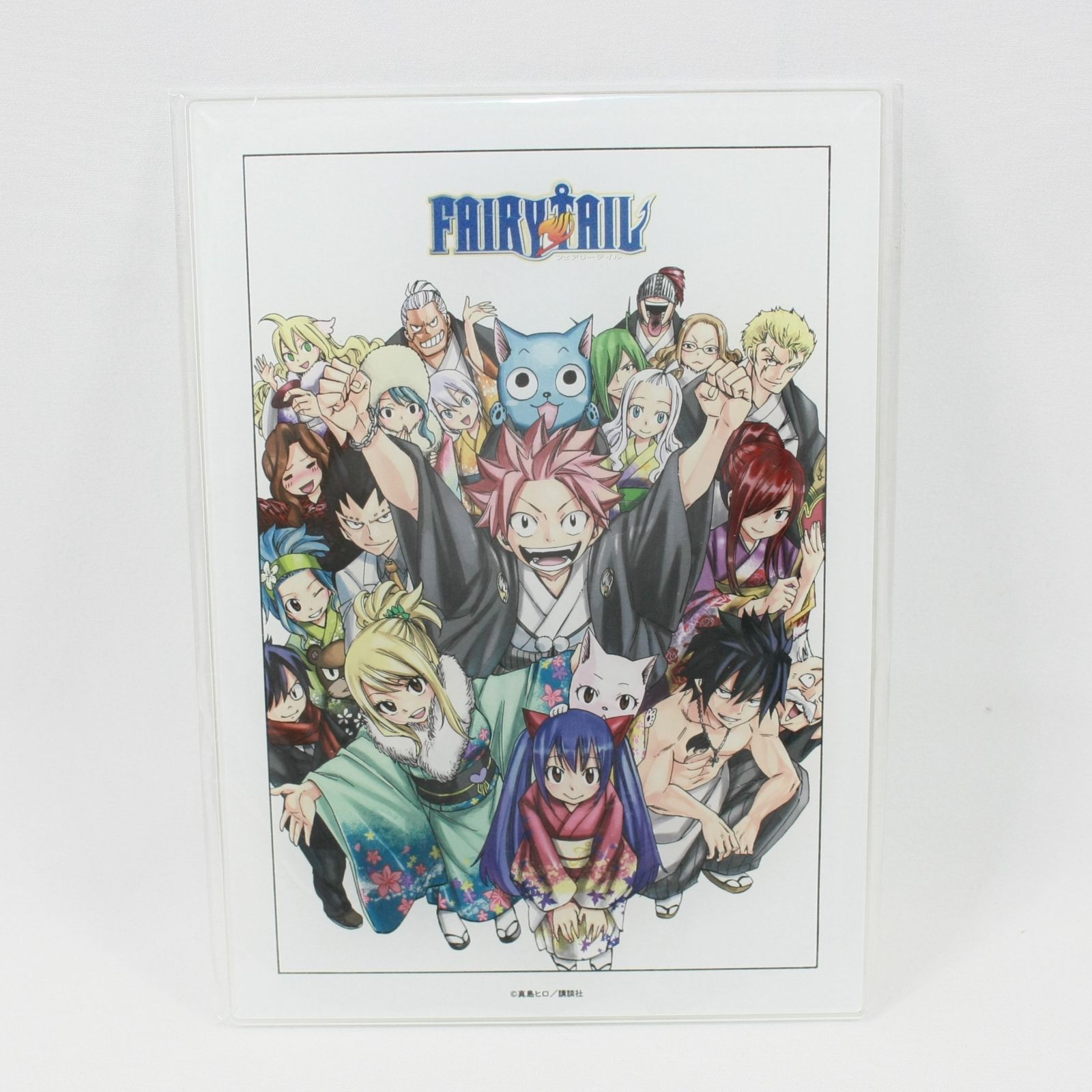 1428・FAIRYTAIL フェアリーテイル 原作絵アクリルパネル5 集合