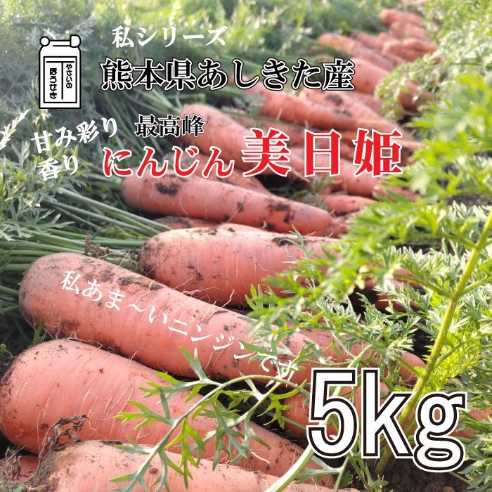 農家直送 甘いにんじん 美日姫 数量限定ニンジン 熊本県芦北産人参【5kg】農薬不使用 化学肥料不使用 高品質にんじん - メルカリ