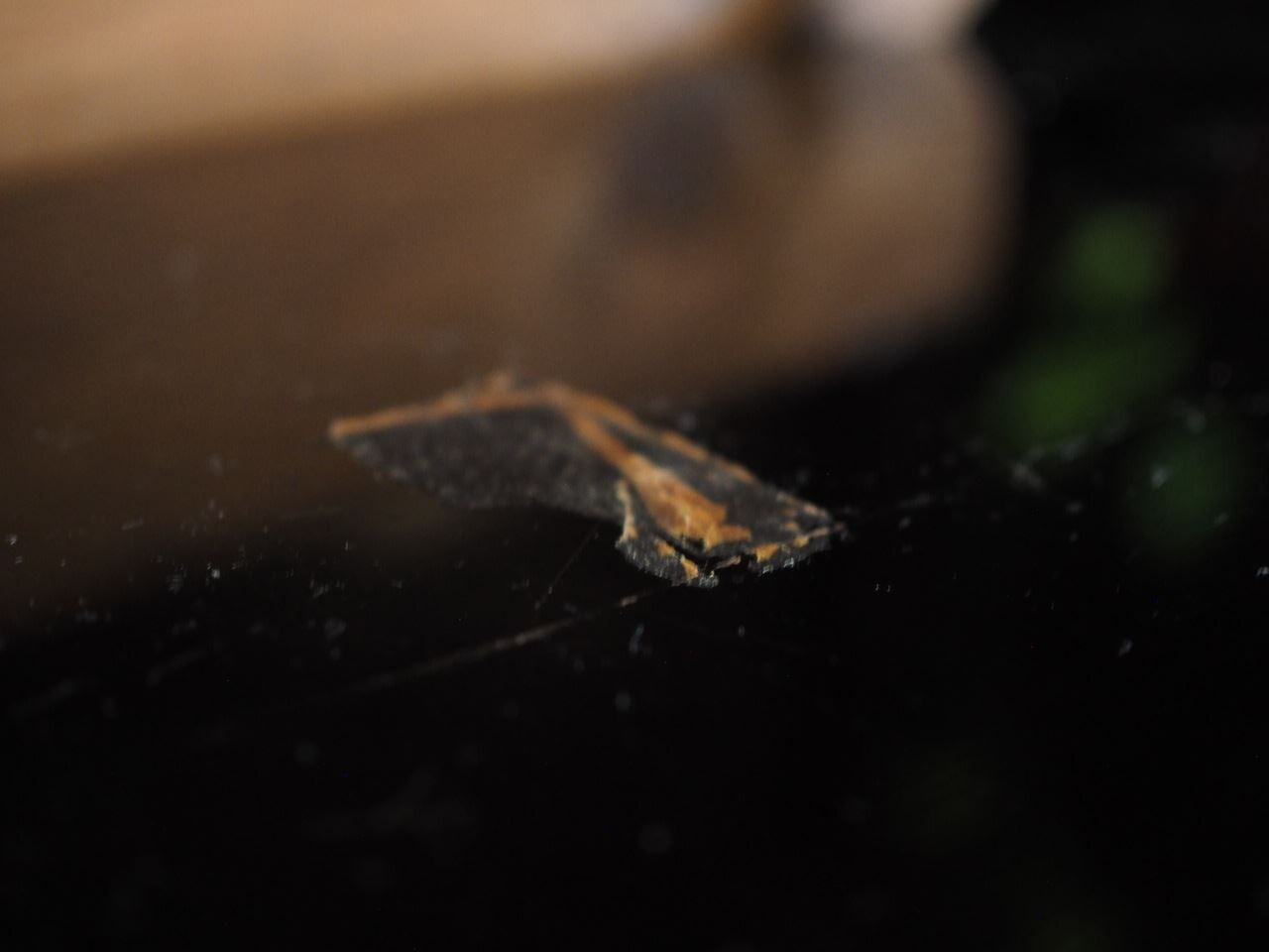 143年前の共箱黒漆広盆蒔絵入り 明治15年