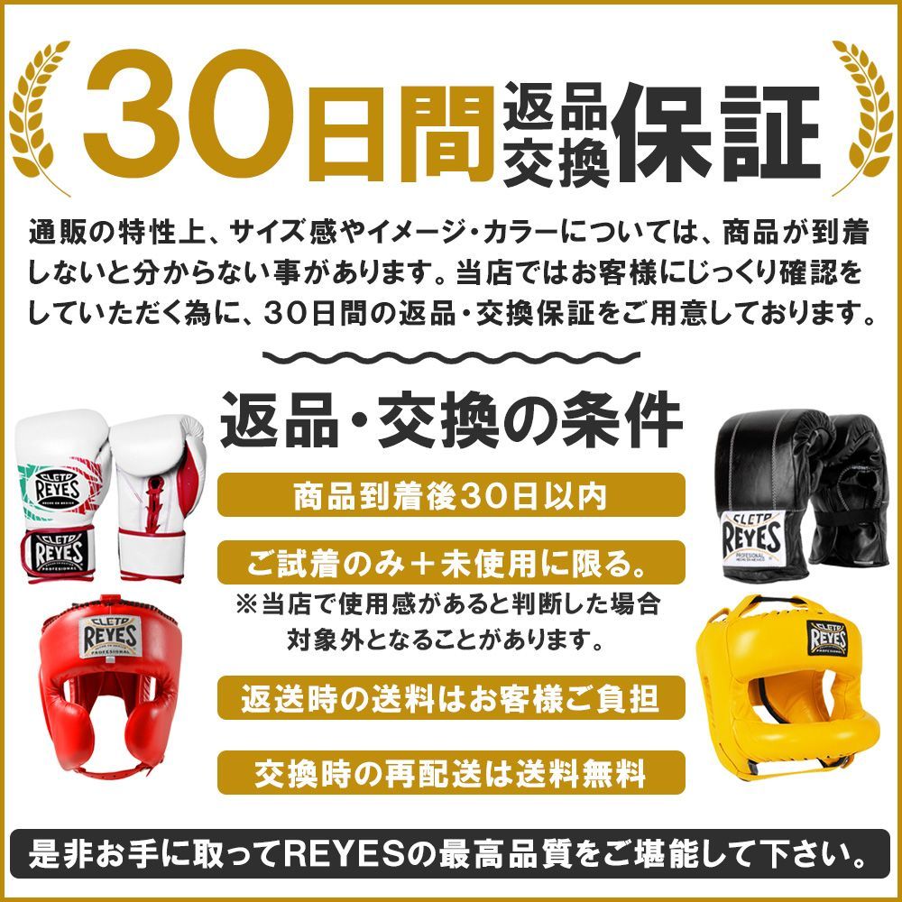MMA テコンドー
