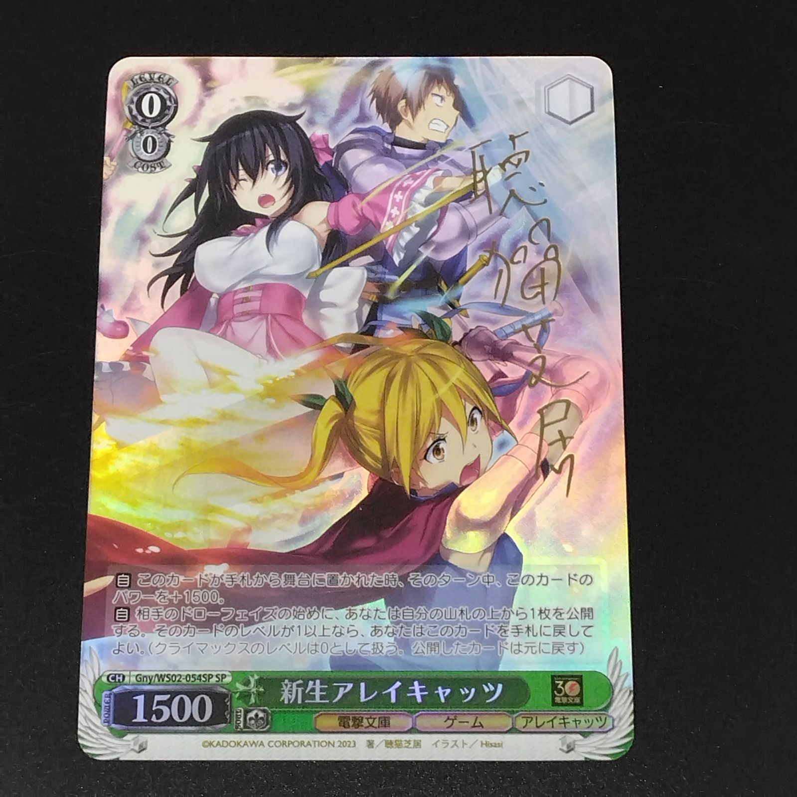 BGS10 ヴァイス 新生アレイキャッツ SP サイン 電撃文庫 BGS10