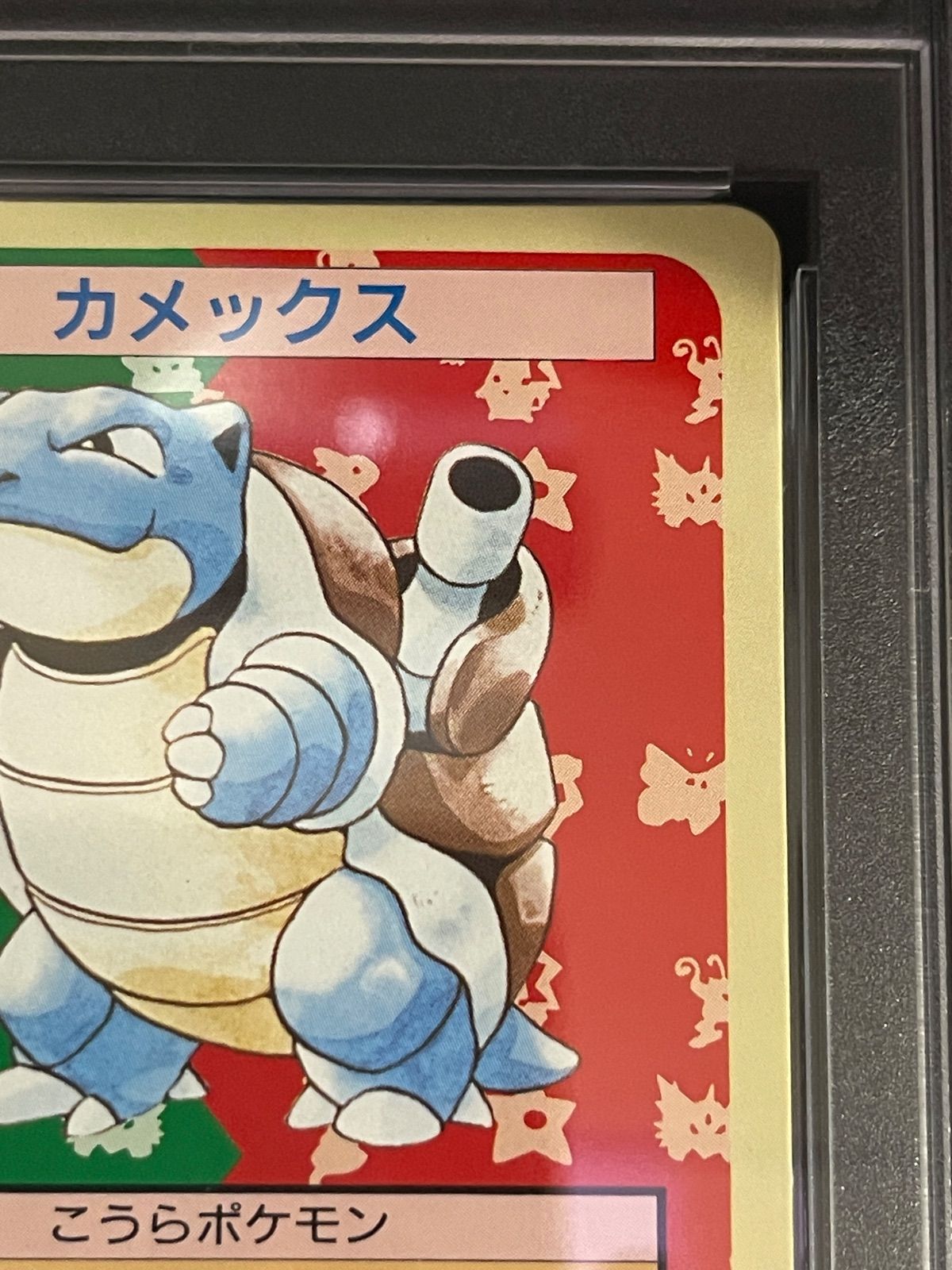 ポケモンカード トップサン 裏緑 カメール カメックス ゼニガメ セット