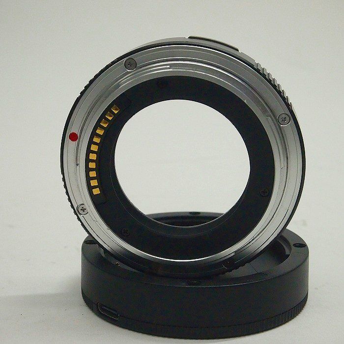 【ともたん】 ともたん根付け2体3,5センチ タッチパネル付き歯突起尖指定装置 - Root