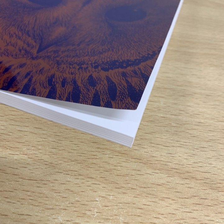 z28/野外鳥類学論文集「Strix VOL.2」 z28/野外鳥類学論文集「Strix VOL.2」