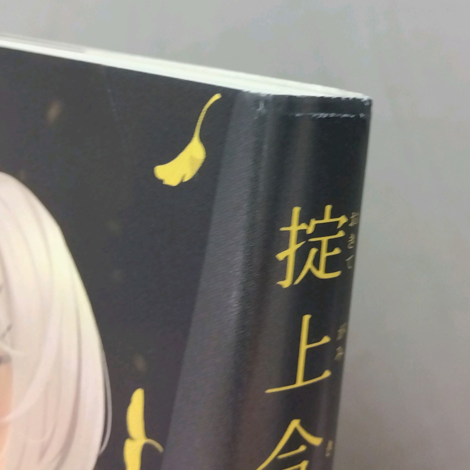 14冊セット】 忘却探偵 掟上今日子 シリーズ 西尾維新 講談社