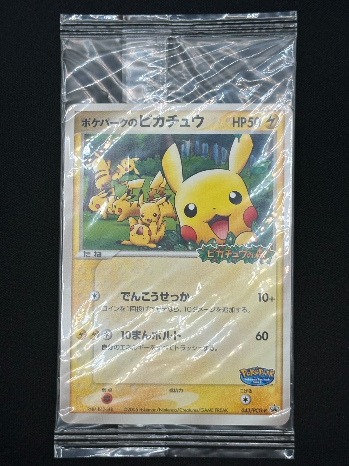 中古商品は完璧な物 【匿名発送】ポケパークのピカチチュウ 未開封043