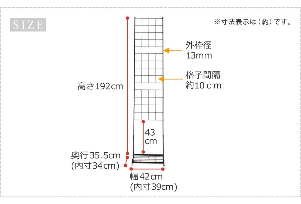 つるバラ 庭
