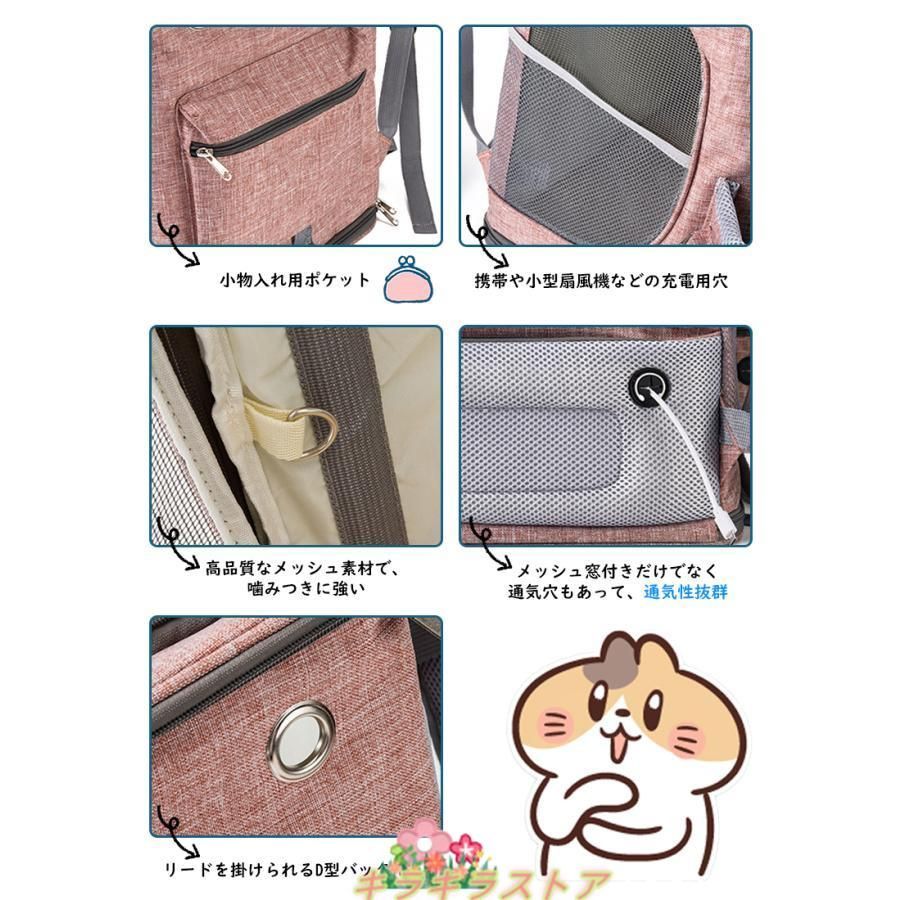犬