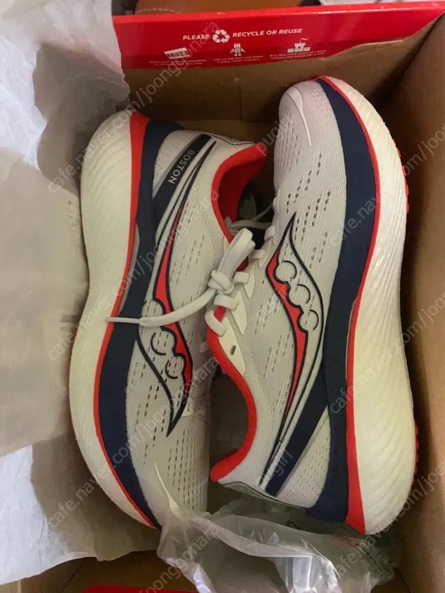 エンドルフィンスピード 3 ボストン NS 265
