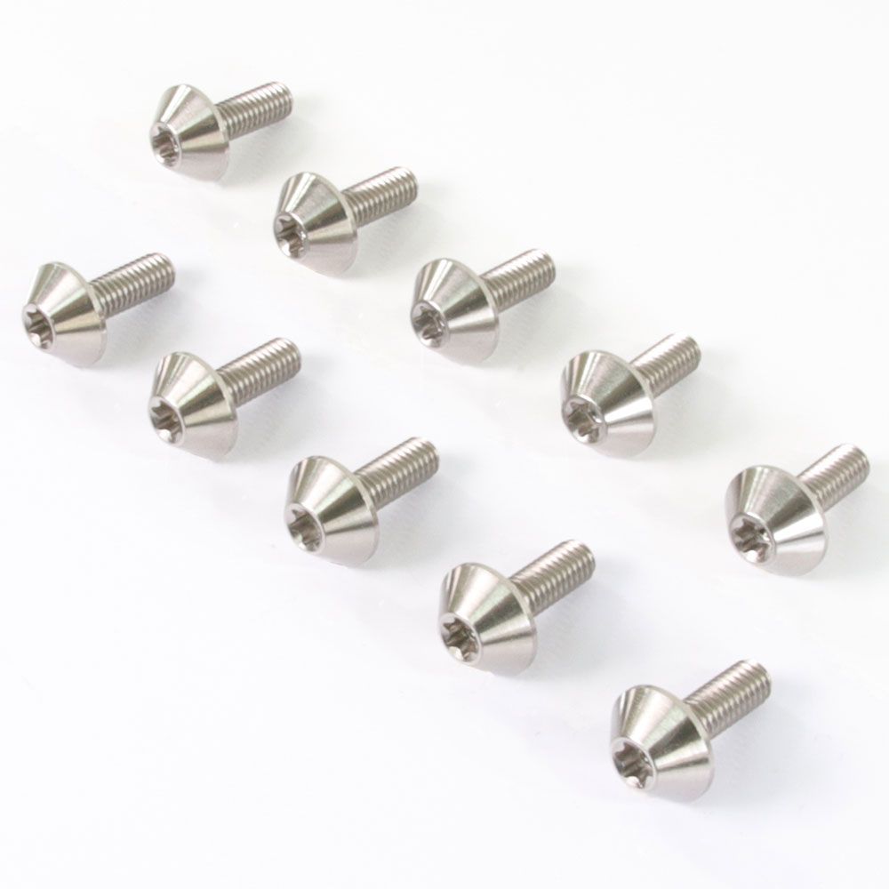 低価, SALE M6×17 P1.00 チタンボルト ブレーキディスクボルト 10本セット 6mm 17mm ピッチ1.0 シルバー チタン合金 Ti-6Al-4V 64チタン 焼き色なし CB1300 CB1100