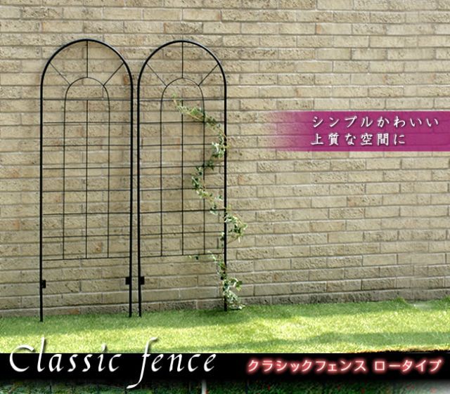 ラティス
