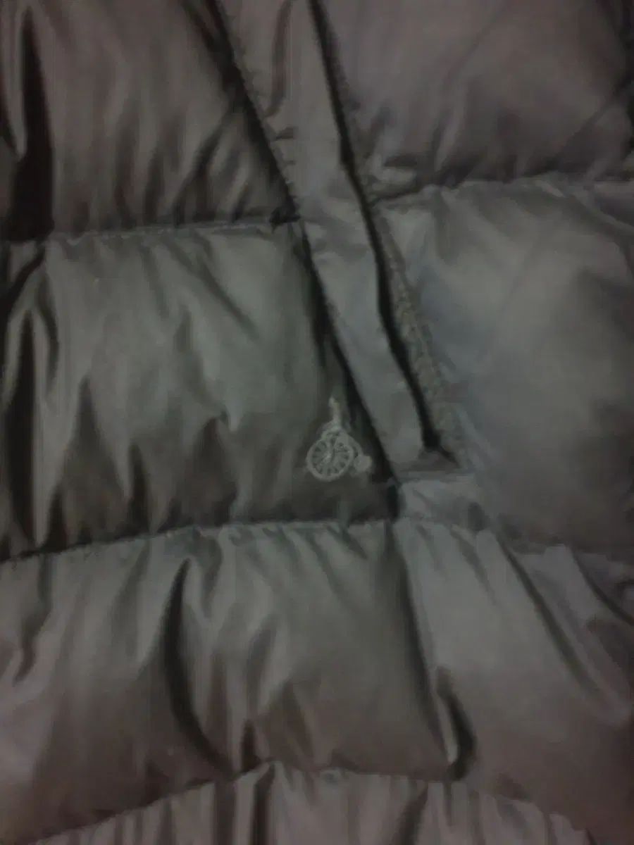 ダングースヘア