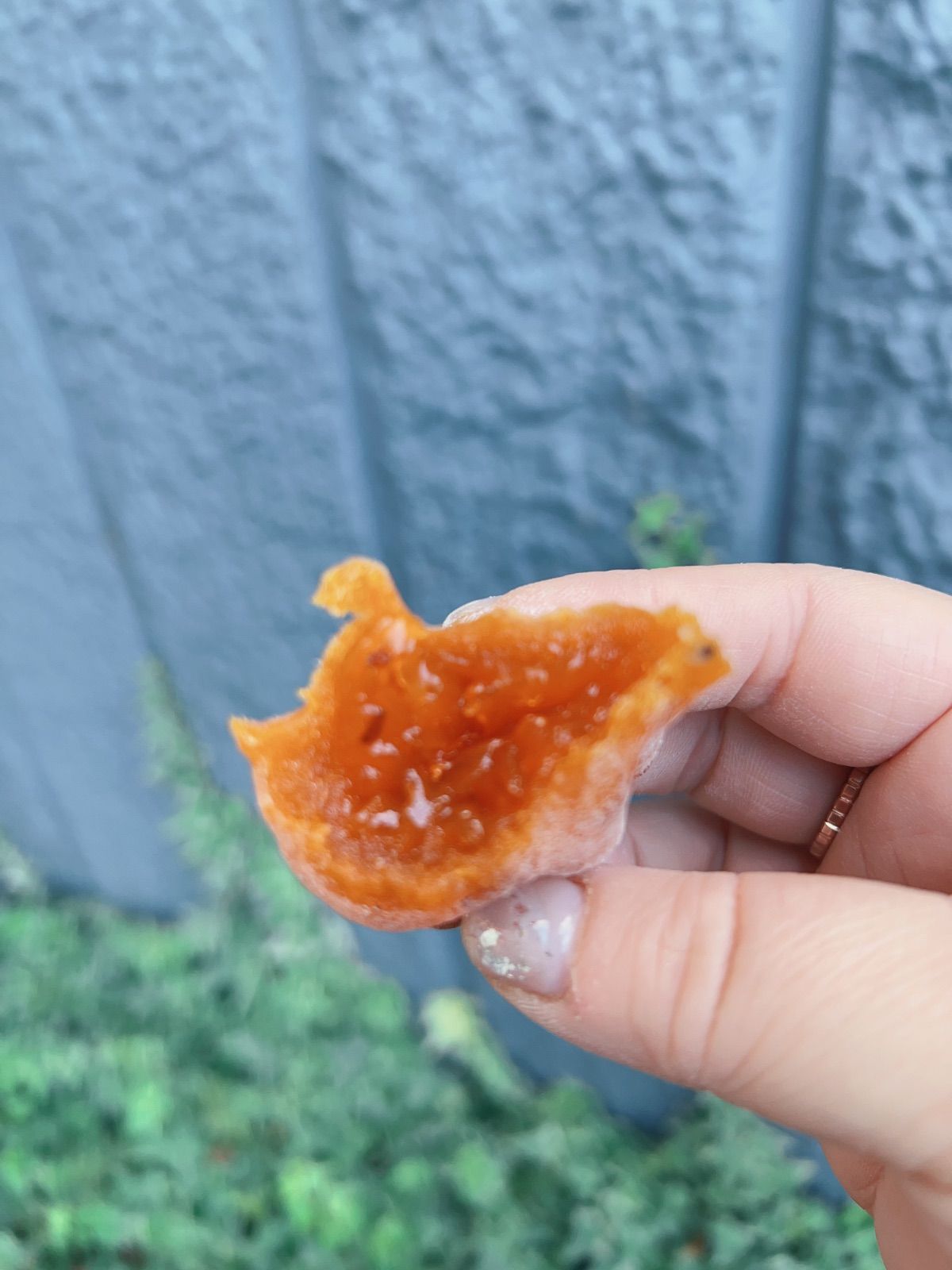 特選 昔ながらの干し柿