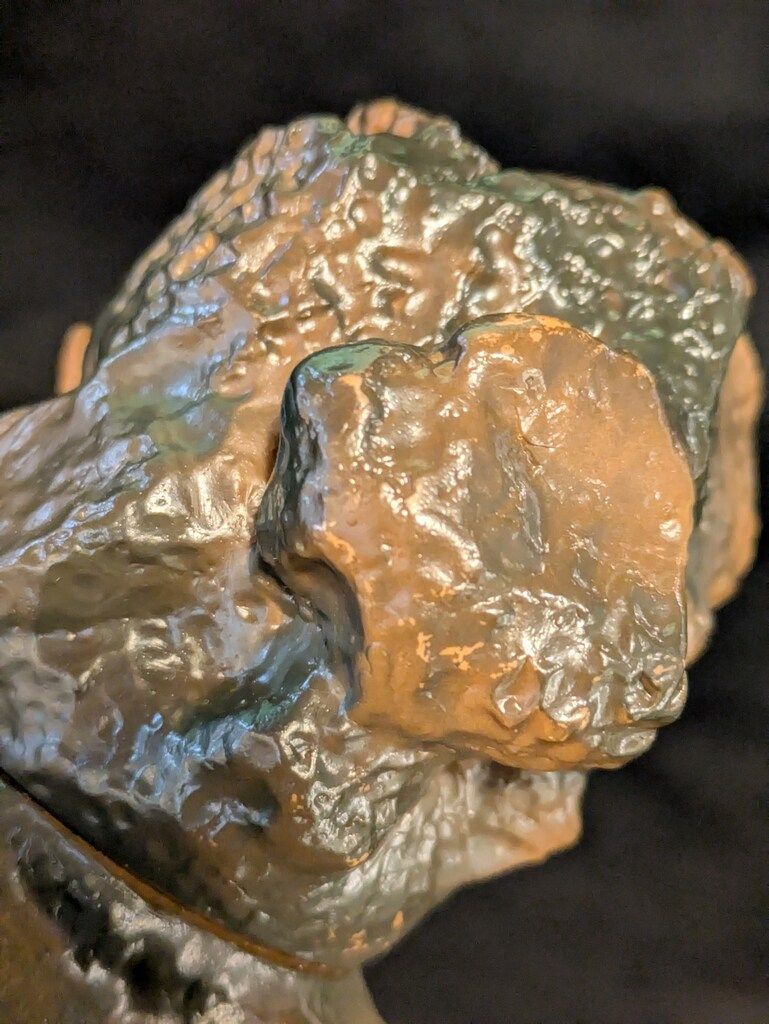ベラ