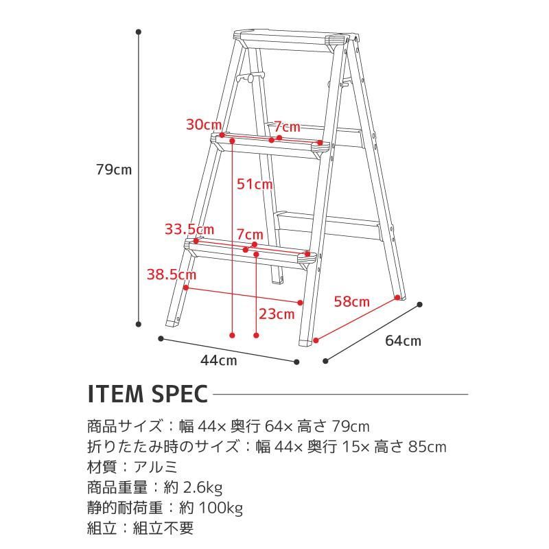 はしご 耐荷重100kg