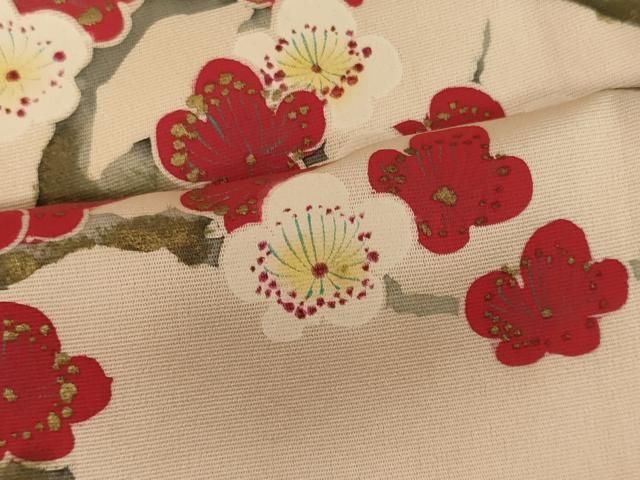 平和屋着物○訪問着 枝花文 金彩 正絹 逸品 AAAX0046np