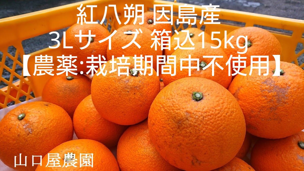 【農家直送】柚子15kg（箱込み） ◎ご家庭用品 食品 【農家直送】柚子15kg（箱込み） ◎ご家庭用品