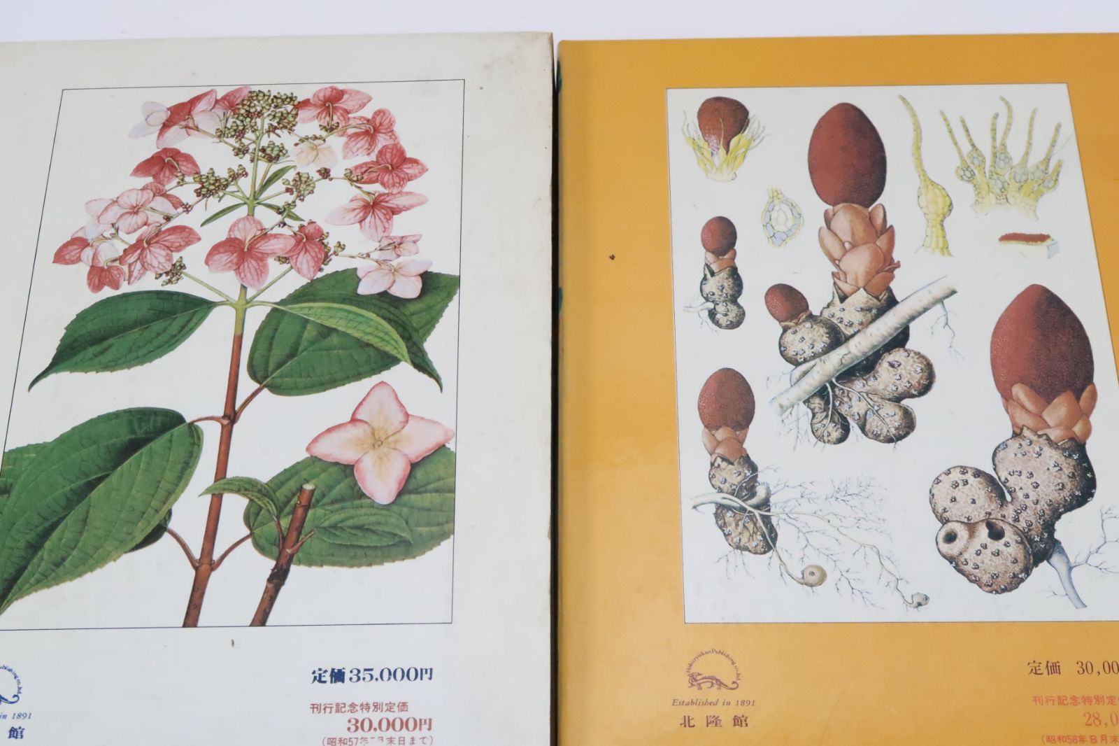 原色牧野植物大図鑑・2冊/牧野富太郎/日本の植物の原色図と