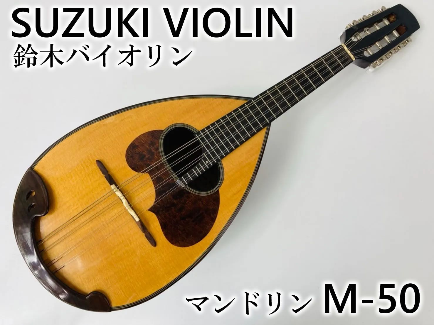 スズキバイオリン マンドリン M-50 SUZUKI VIOLIN - ニチエイ通販