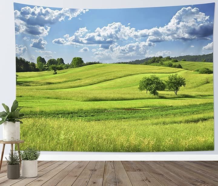 ノーブランド品 タペストリー 風景写真 浮かんでいる白雲と緑の野原 インテリア 壁掛け 壁飾り 200ｘ150cm
