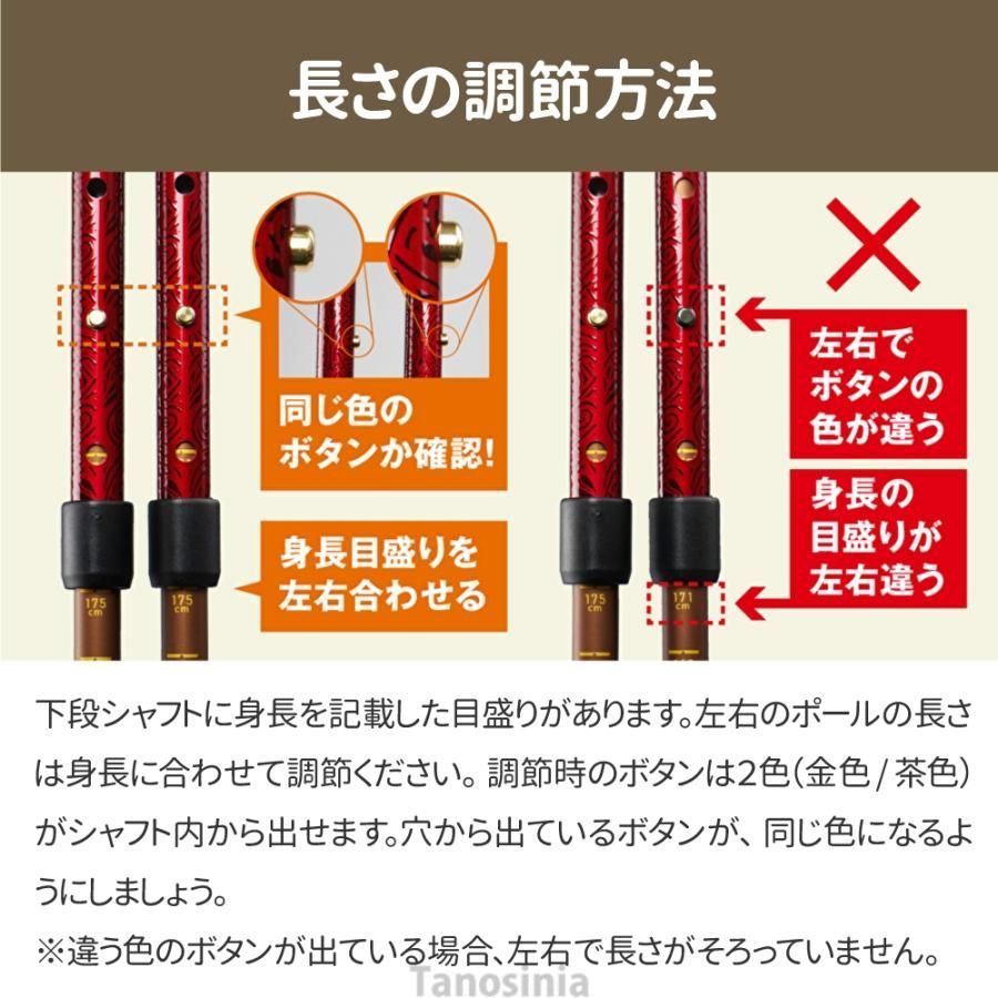 ウォーキングポール