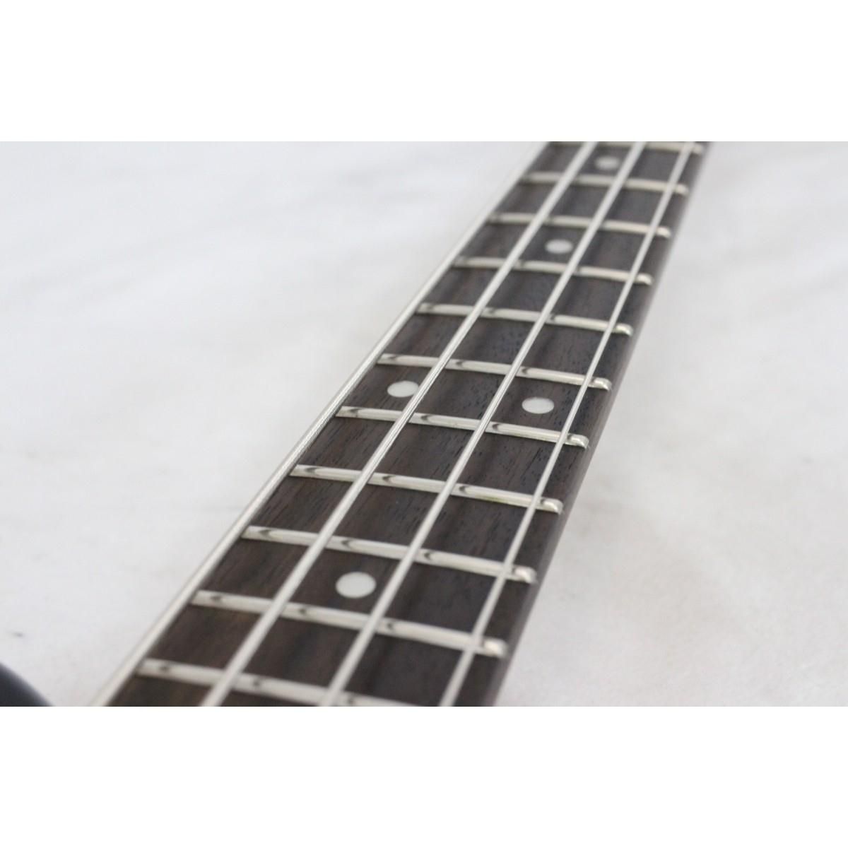 ＰＩＧＮＯＳＥ ＰＧＢ－２００