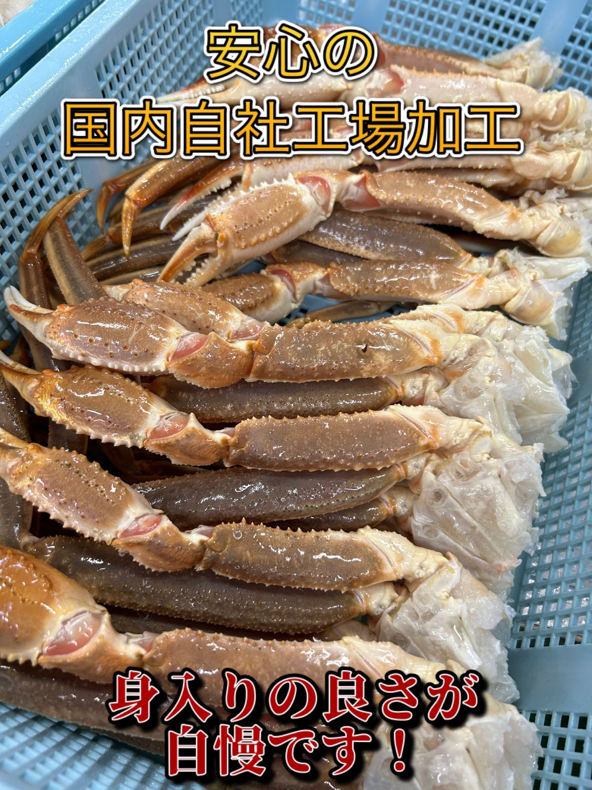 生ずわいがに3kg　ズワイガニ　かに　カニ　蟹　【送料無料】-3