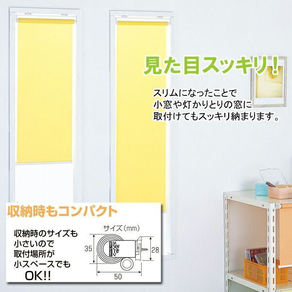 送料無料 スリムロールスクリーン ビス止めタイプ 幅90cm×高さ180cm 代引不可