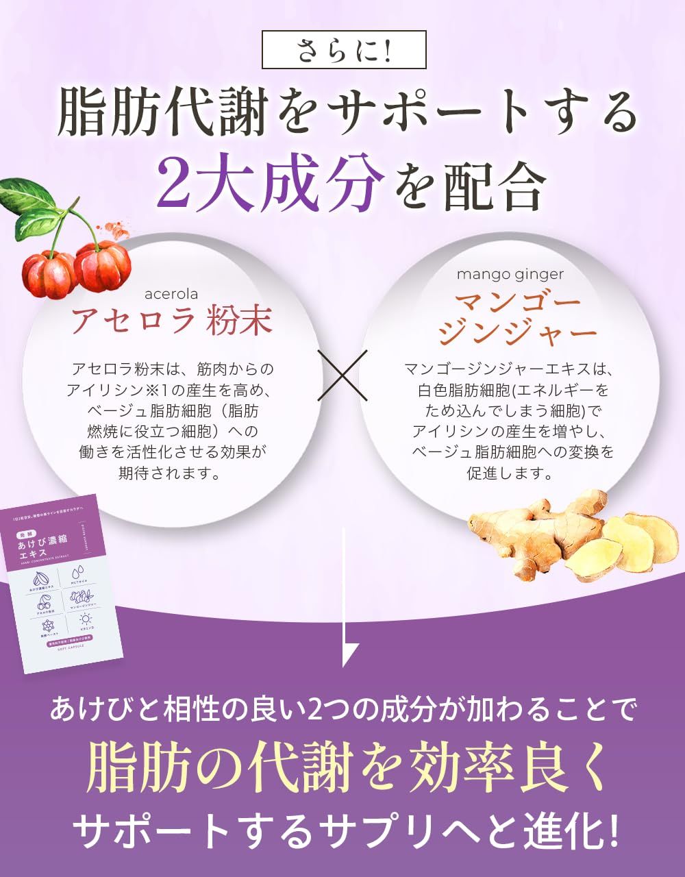 着色料不使用 国産