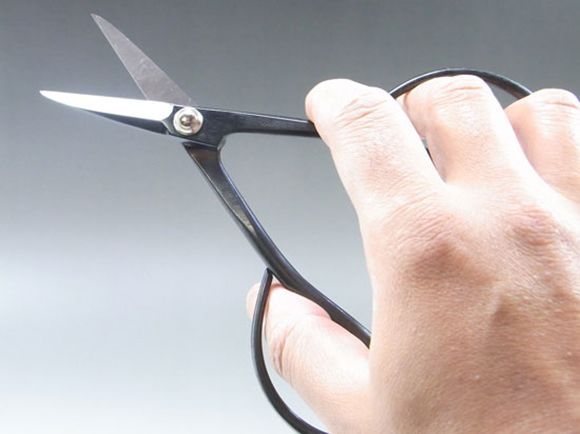 No.34D 2024 さつき鋏 150m/m No.34D さつき鋏 150m/mの盆栽を販売