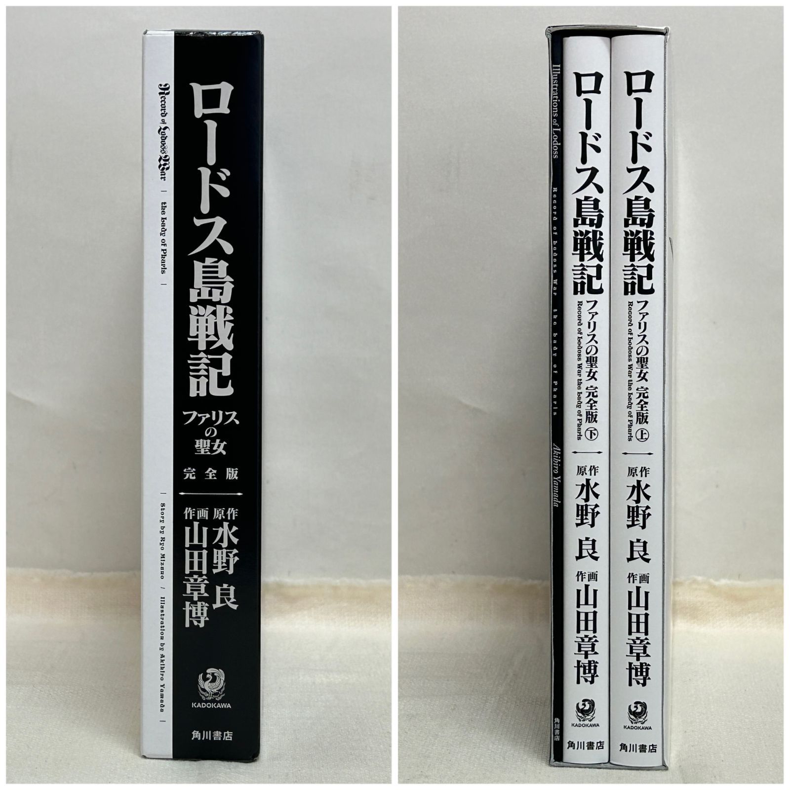 浜館4-353】 ロードス島戦記 ファリスの聖女 完全版 【中古品