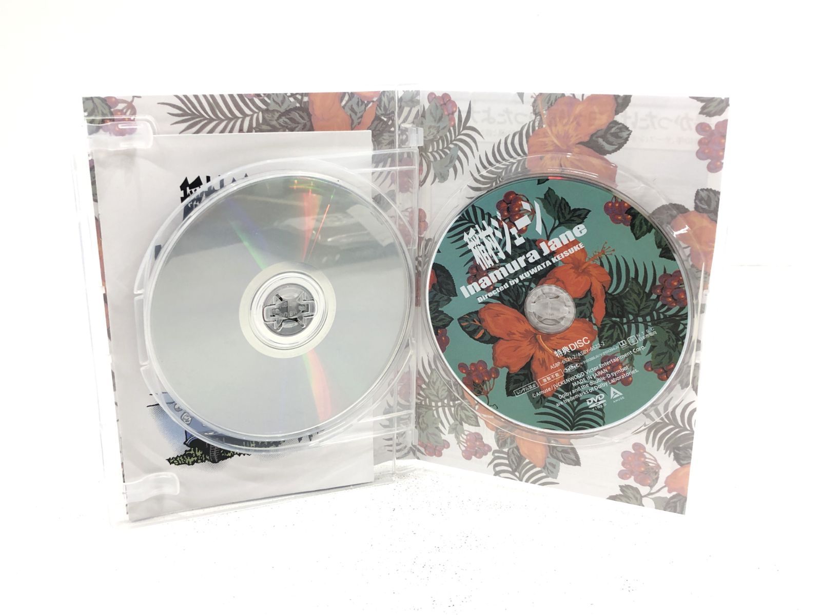 稲村ジェーン ディスク DVD Amazon.co.jp: 「稲村ジェーン」完全生産限定版 (30周年