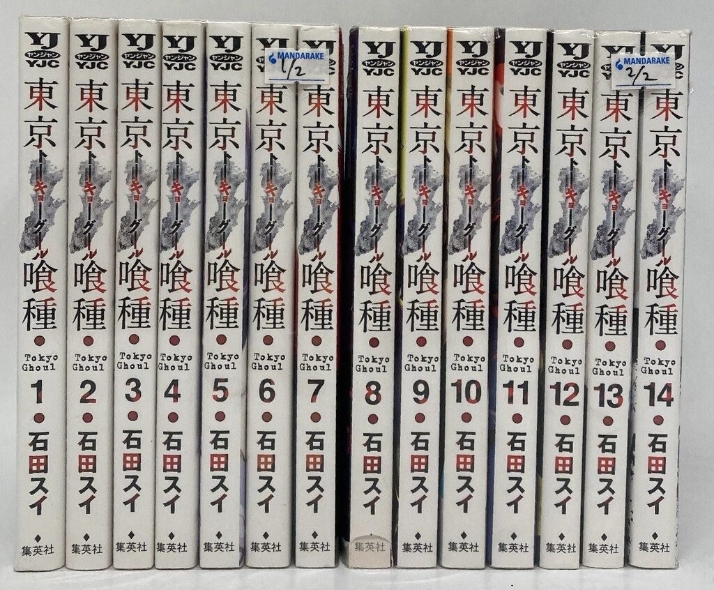 限定値下！ロングレールキット付 AA-12 ドラムマグ ガンケース 動作未確認