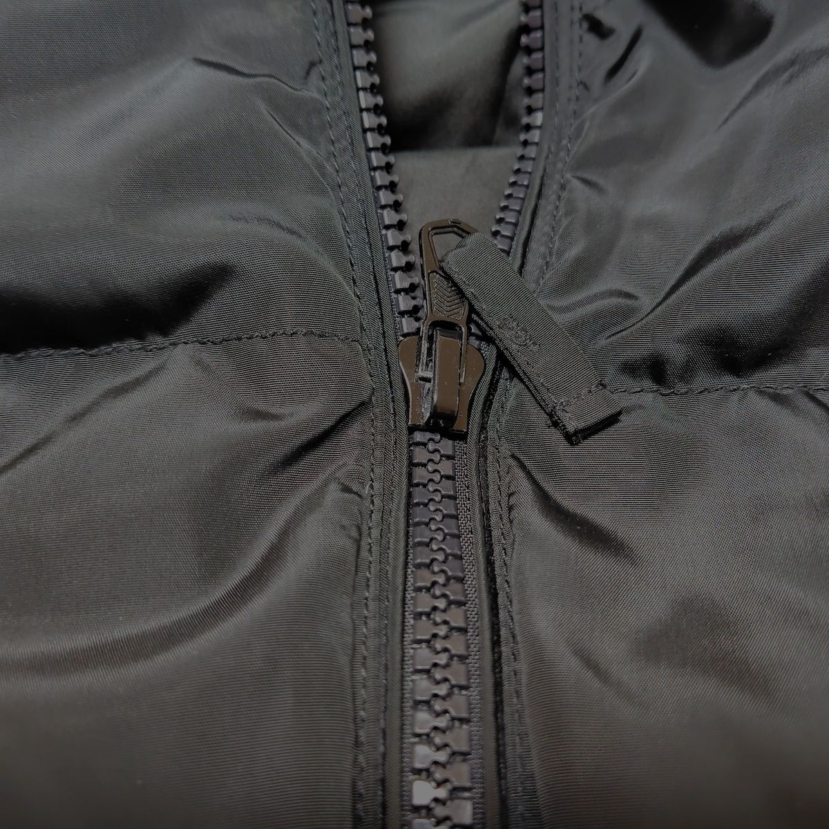 ラクーンファー