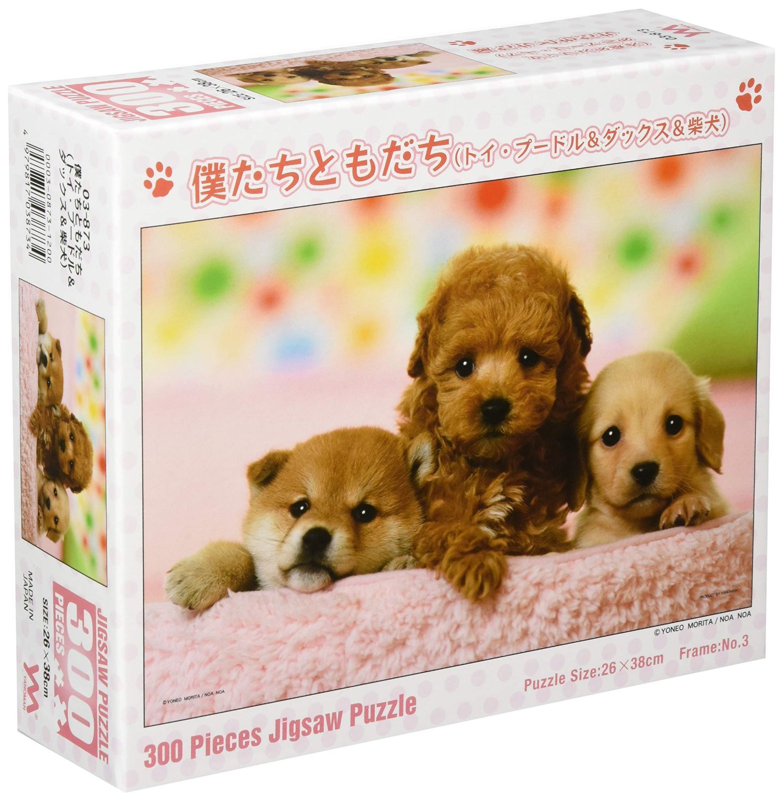 ヘスペルス あるいは四十五の犬の郵便日  /九州大学出版会/ジャン・パウル（単行本） ヘスペルス あるいは四十五の犬の郵便日 新装版 ジャン・パウル
