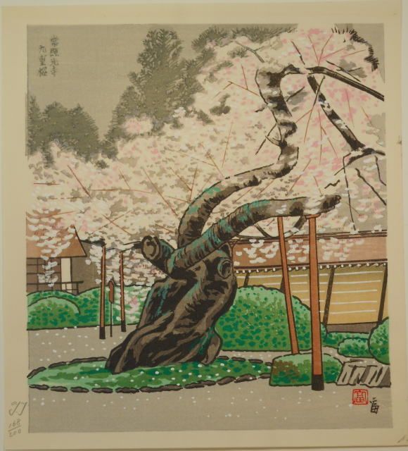 徳力富吉郎 　　常照光寺九重桜 徳力富吉郎 常照光寺九重桜 - メルカリ