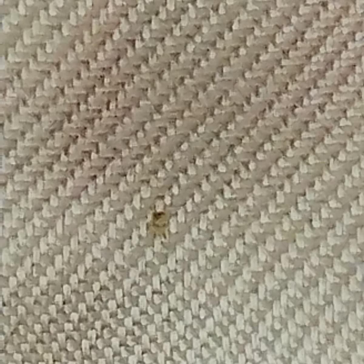 DIOR/ChristianDior(ディオール/クリスチャンディオール) スカーフ美品  