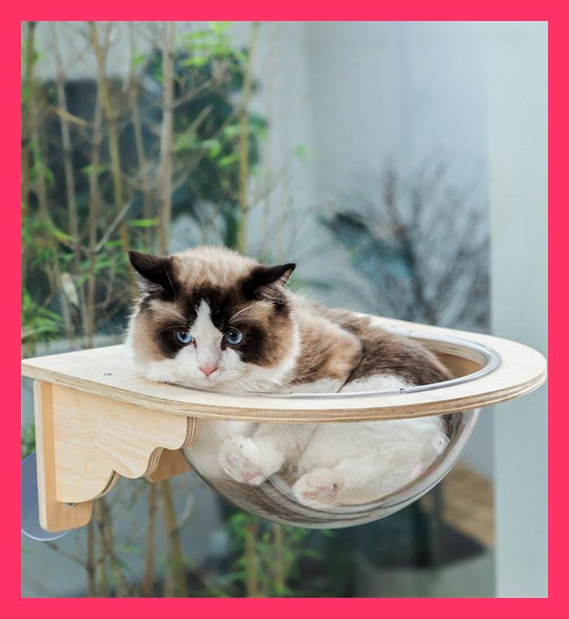 おしゃれ 猫用ハンモック