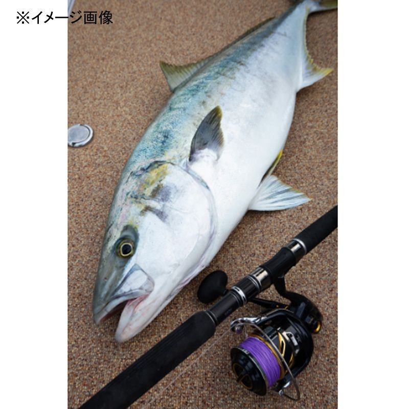 VARIVAS アバニ