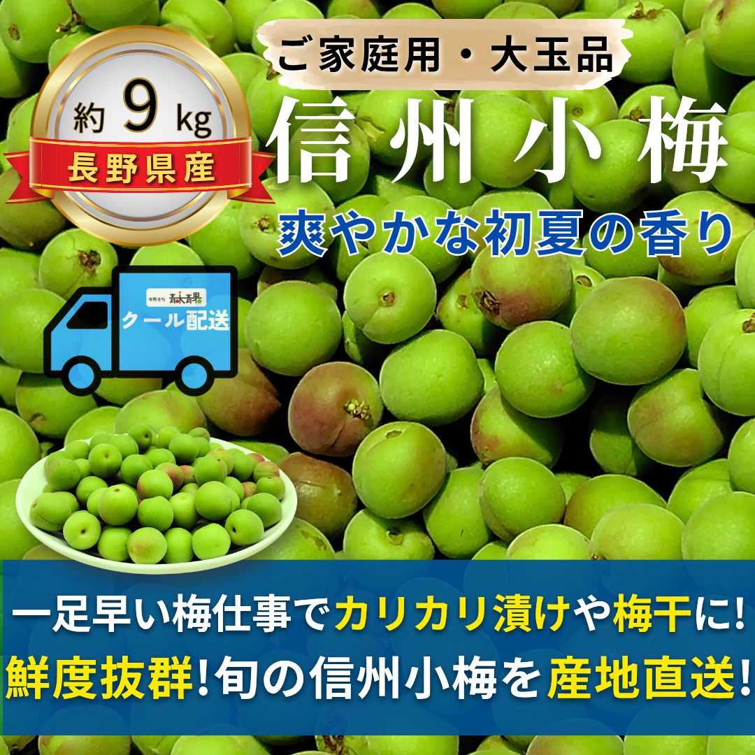予約商品 5月下旬より順次発送 信州小梅 ～爽やかな初夏の香り～ 内容量 約9kg 配送方法 クール配送 サイズ 当店お任せ 品目 小梅 こうめ 品種 当店お任せ 産地 長野県 規格 ご家庭用A品B品混合 詰め方 バラ詰め 販売会社 青木青果