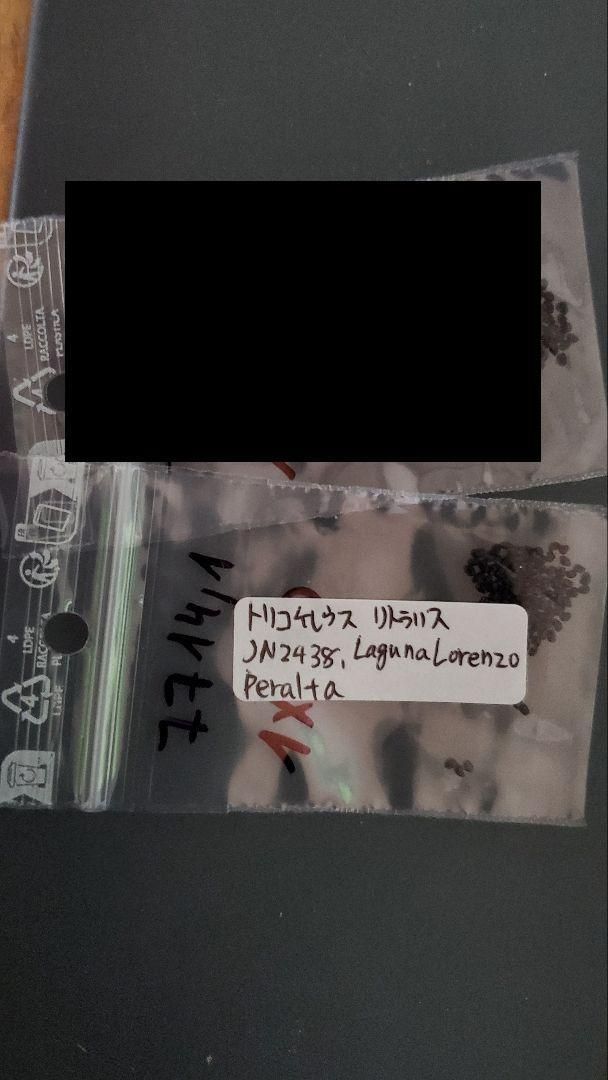 トリコケレウス 種子45種類