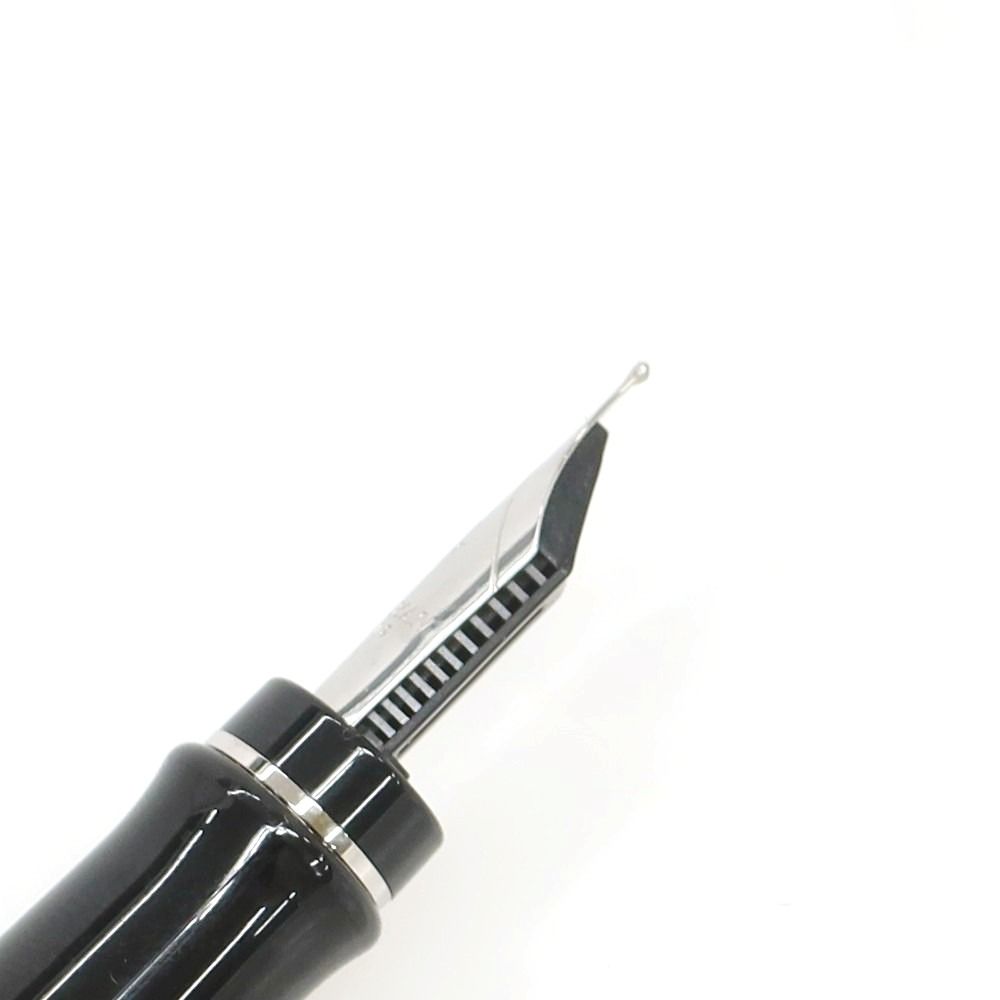  ウォーターマン WATERMAN エキスパート プレシャスBT 万年筆 ブラックxシルバー メンズ 万年筆 万年筆 インク