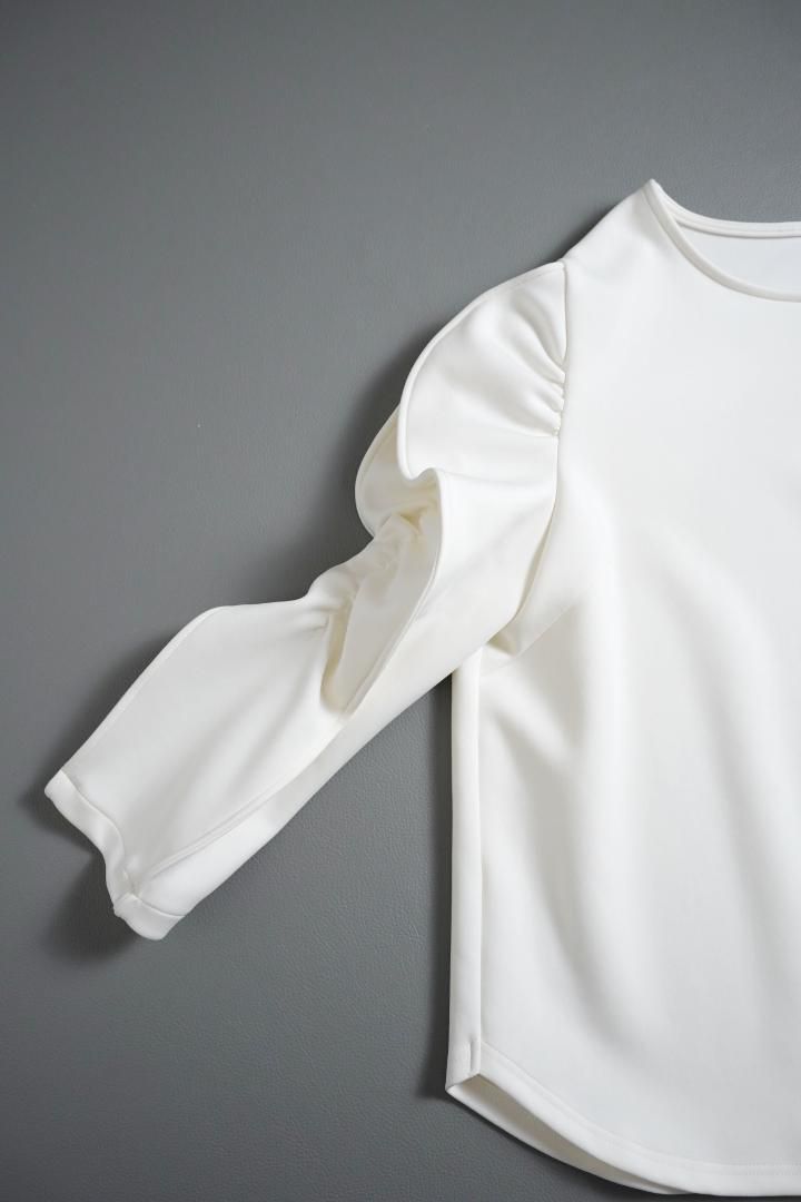 スコットクラブ取扱