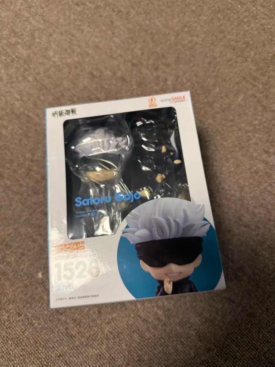 OVERVIEW OF CHEMISTRY チェコ マサリク大学 医学部