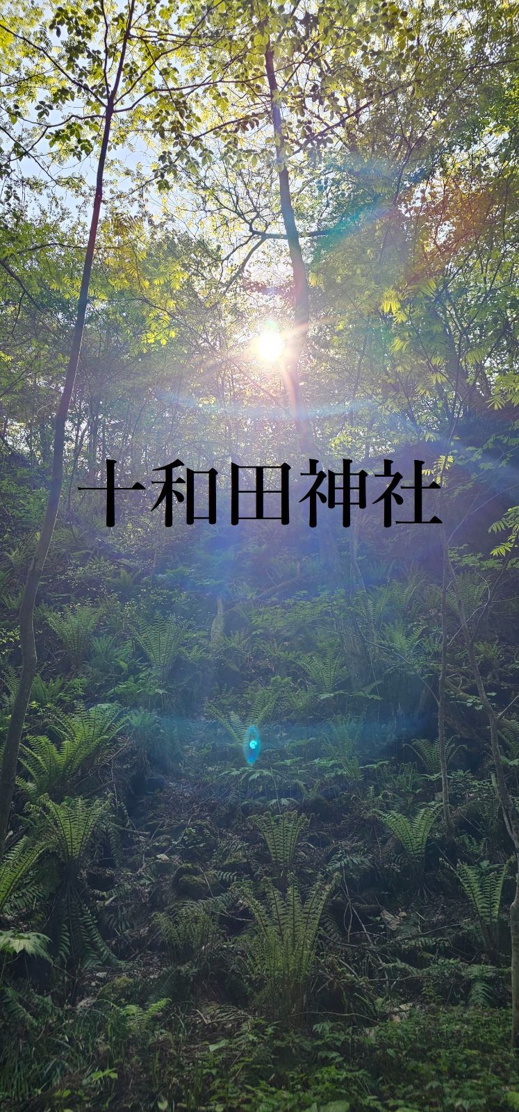 十和田湖 十和田神社 パワースポット 写真 龍神様 3枚セット