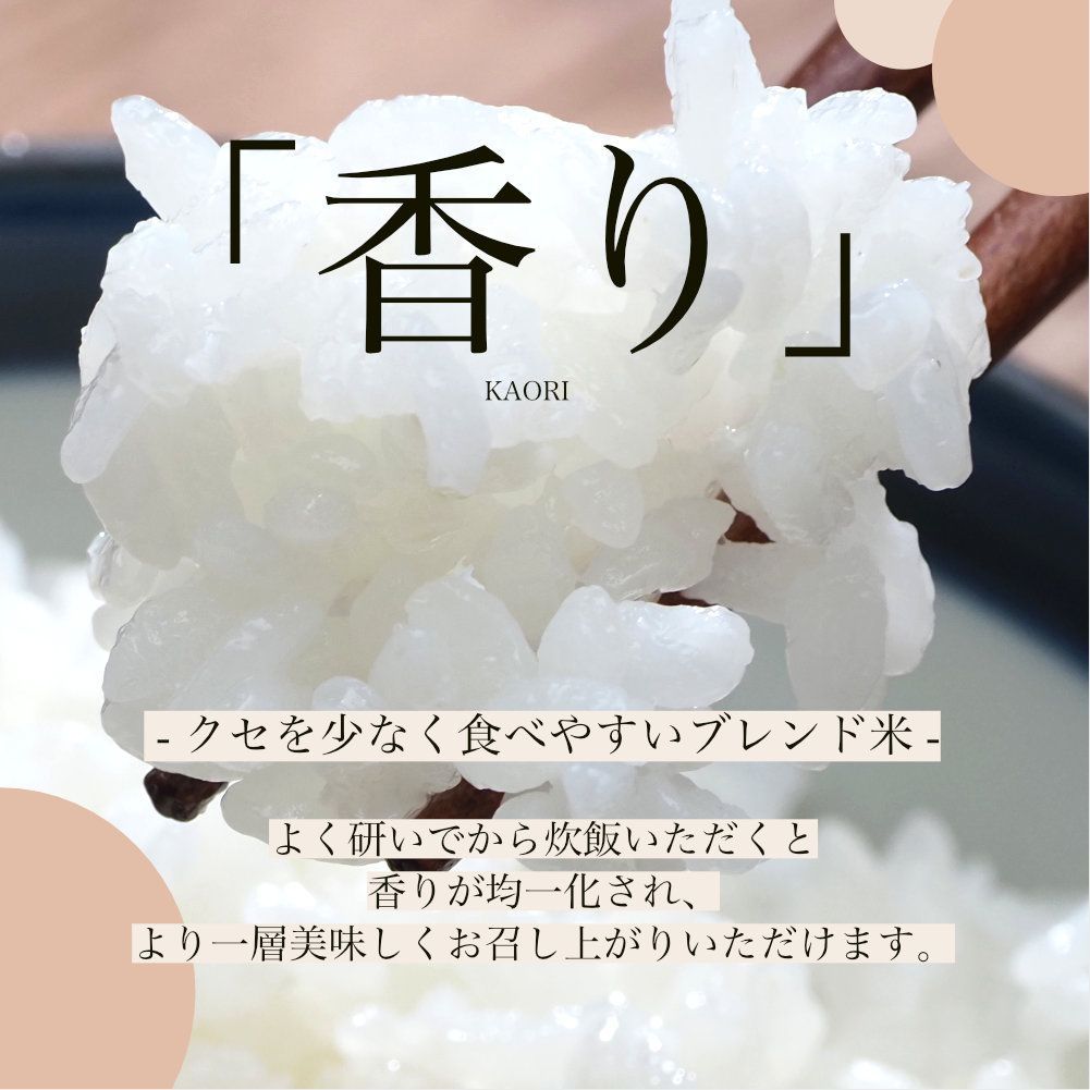 新潟県産 ブレンド米 10kg (5kg×2袋) 産直 国内産 新潟米