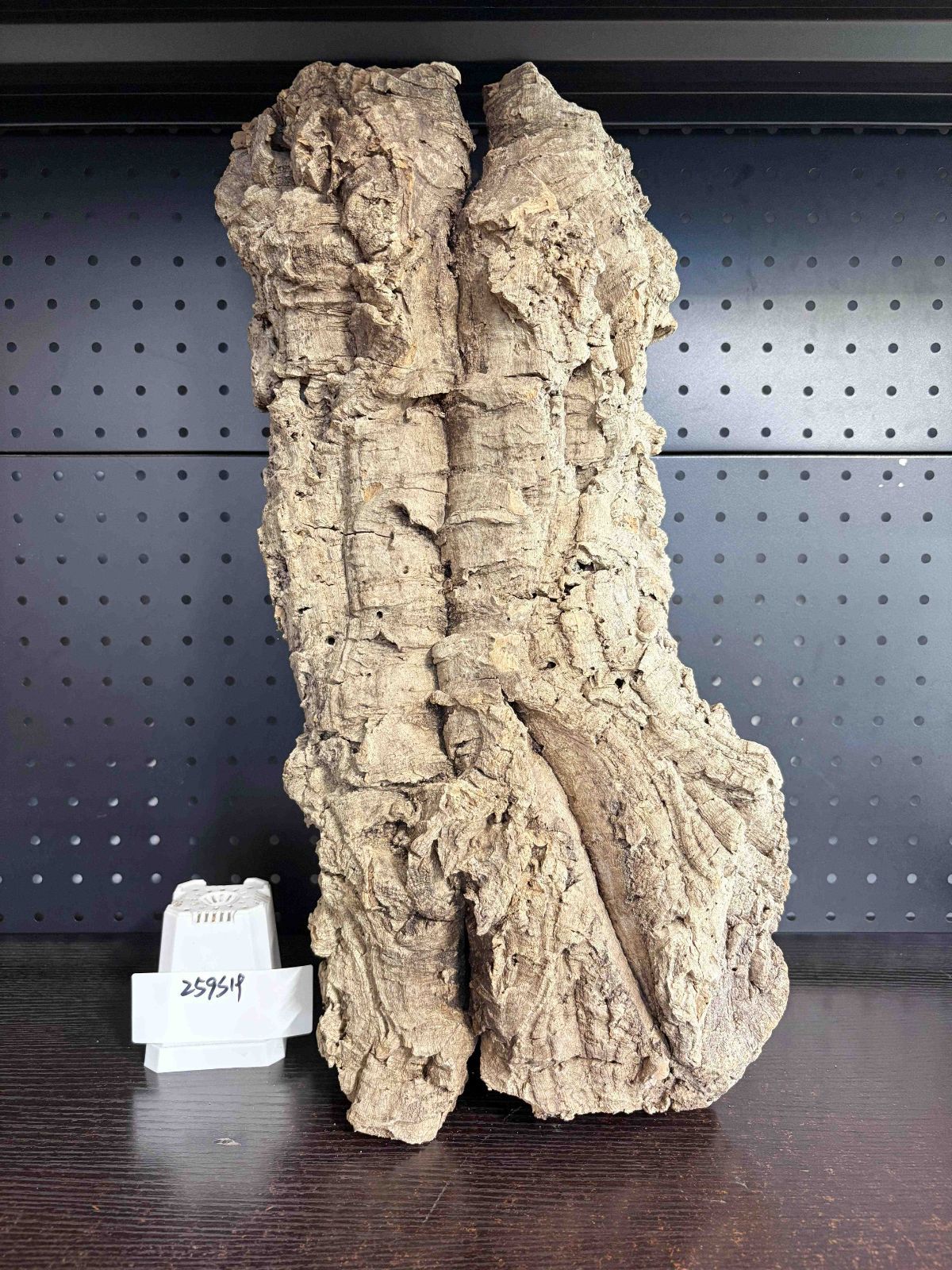 コルク樹皮 コルク板